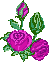 53x62