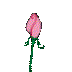 72x72