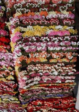 market oya