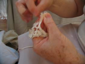IMG_2169_resize