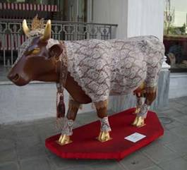 mucca merletto oidf