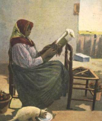 http://www.fioretombolo.net/merlettaie_file/image006.jpg