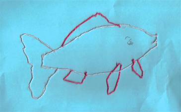 pesce_claudia merletto