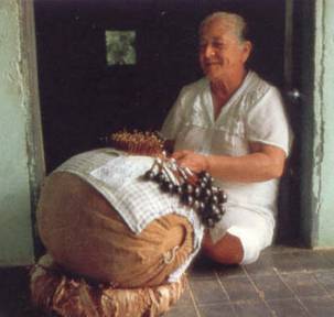 http://www.fioretombolo.net/brasile_file/image013.jpg