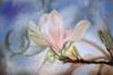 http://www.hbgarver.com/photogallery/photo18686/pastel5.JPG